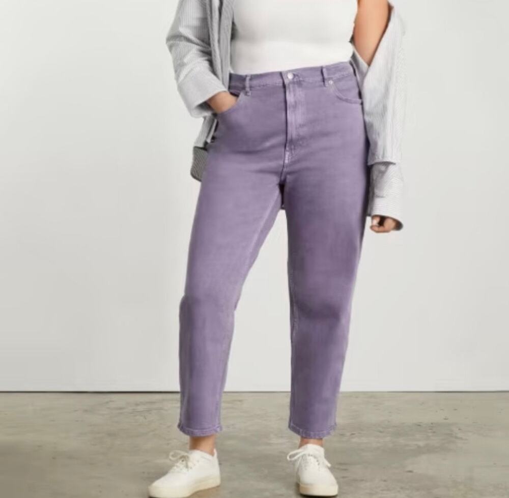 Everlane The Way-High Jean Purple High Rise Straight Leg Organic Cotton 26